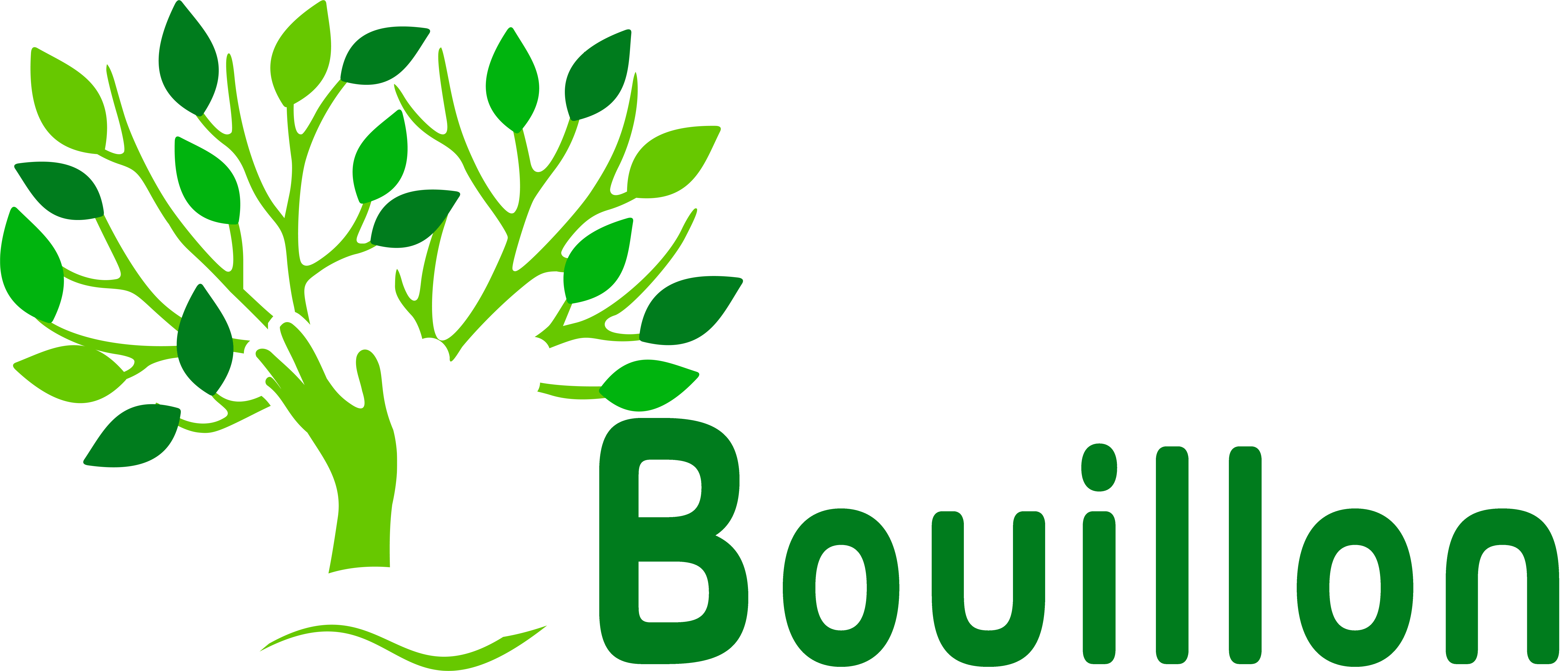Elagage Bouillon, artisans élagueurs et jardiniers à Les Milles dans les Bouches du Rhones 13