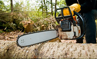 Entreprise d'abattage d'arbres à Les Milles dans les Bouches du Rhone (13)