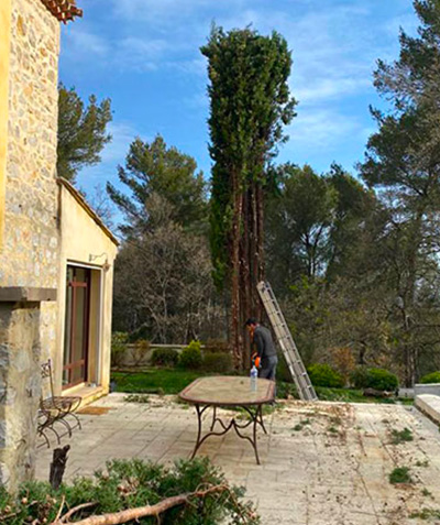 Entreprise d'élagage à Les Milles (13290) et à Aix-en-Provence (13100) dans les Bouches du Rhône (13)