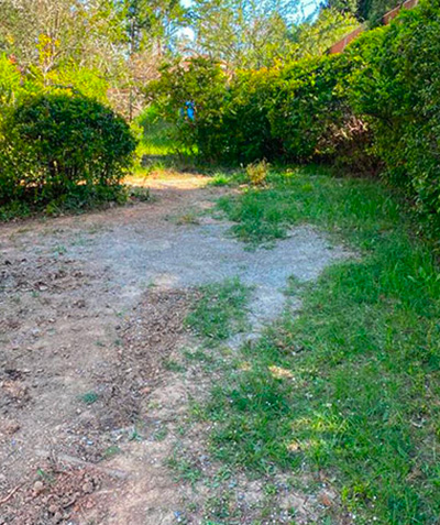 Entreprise d'élagage à Les Milles (13290) et à Aix-en-Provence (13100) dans les Bouches du Rhône (13)