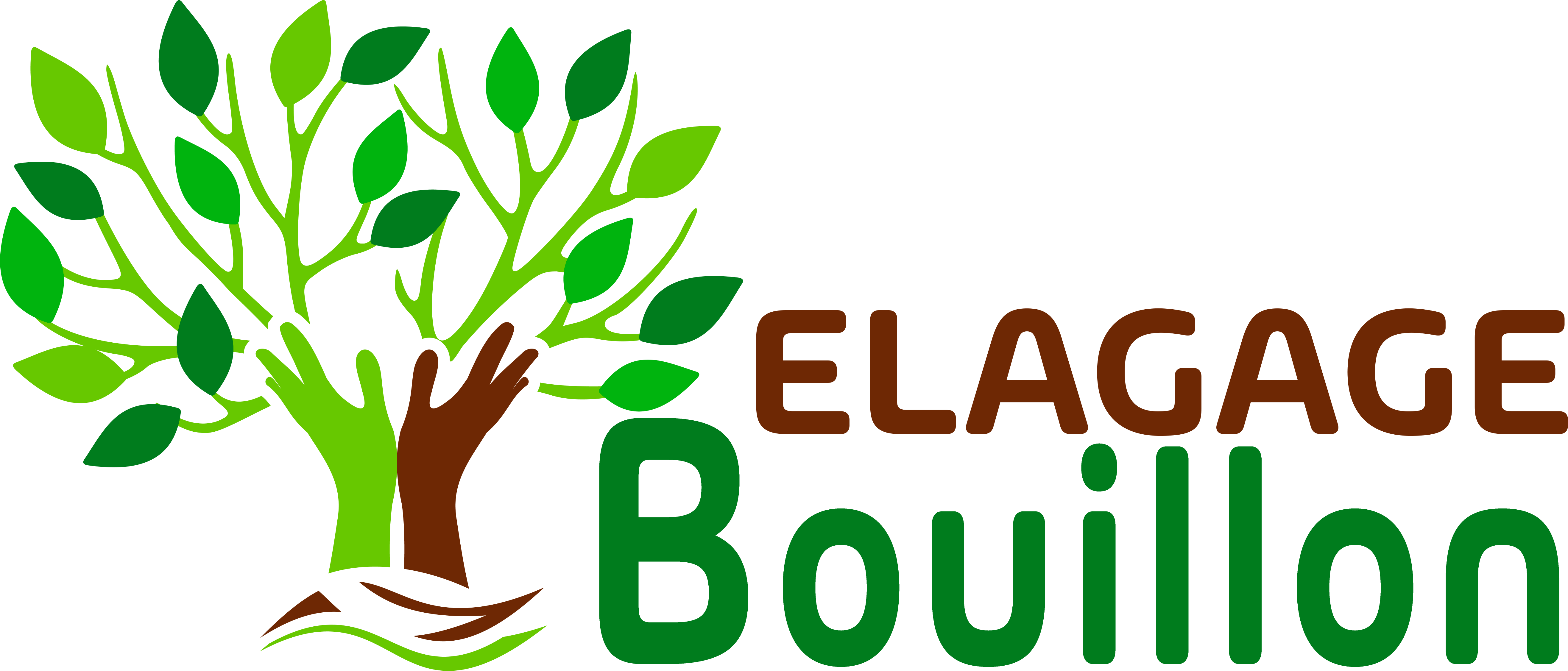 Elagage Bouillon à Les Milles (13290) dans les Bouches du Rhône (13)